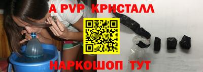 прущие грибы Нальчик