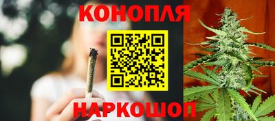 гашик Новозыбков