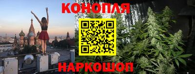 гашик Новозыбков