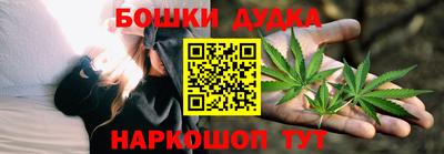 СК Новокубанск