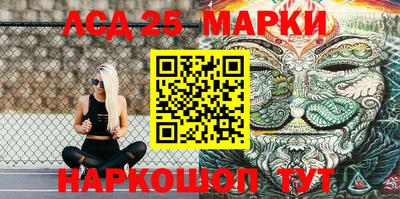 СК Новокубанск