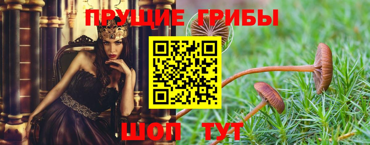 Галлюциногенные грибы мицелий  Вход с VPN  Югорск 